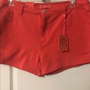 Plus Size Women Shorts